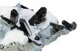 Lustrous Neptunite Crystals in Natrolite Matrix - California #283816-1